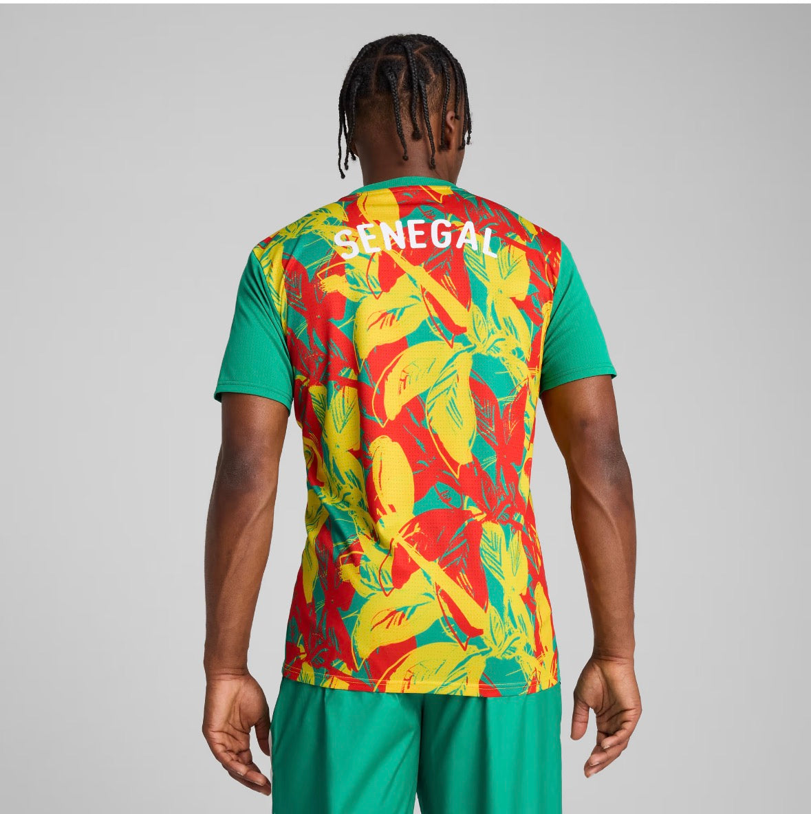 Maillot Officiel Sénégal 2026 - Lions de la Téranga