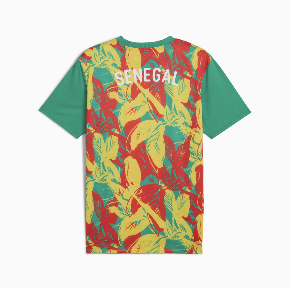 Maillot Officiel Sénégal 2026 - Lions de la Téranga