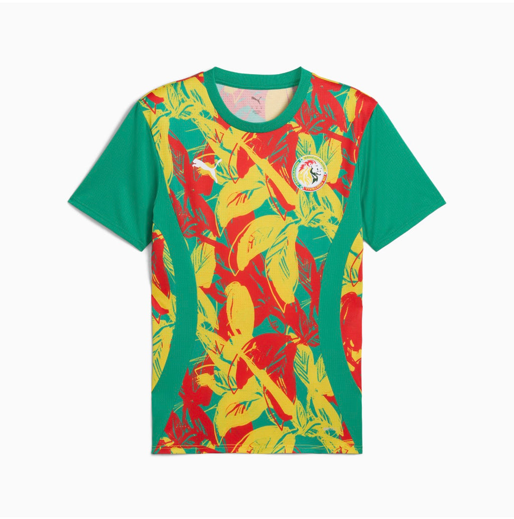 Maillot Officiel Sénégal 2026 - Lions de la Téranga